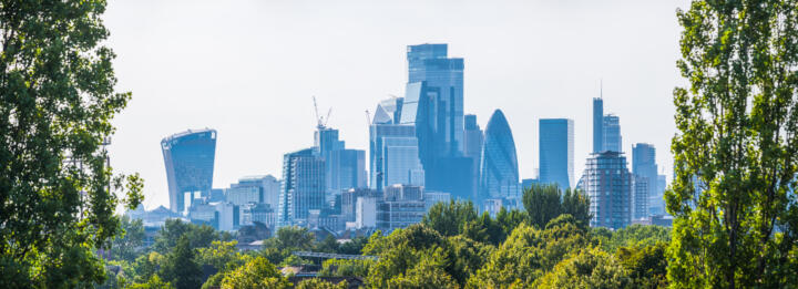 London City Financial District skyscrapers framed by trees panorama